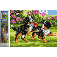 Norimpex Diamantové maľovanie Hravé šteniatka 30x40 cm