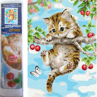 Norimpex Diamantové maľovanie Mačiatko na čerešni 30x40 cm