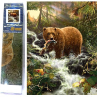 Norimpex Diamantové maľovanie Medveď na love 30x40 cm