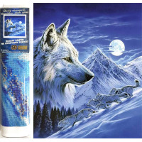 Norimpex Diamantové maľovanie Noční lovci 30x40 cm