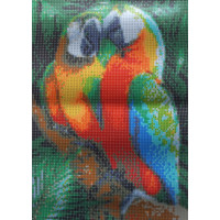 Norimpex Diamantové maľovanie Farebné papagáje 30x40 cm