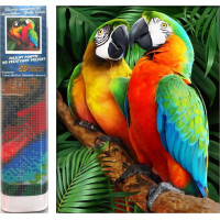 Norimpex Diamantové maľovanie Farebné papagáje 30x40 cm