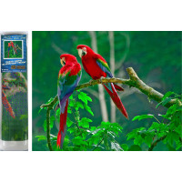 Norimpex Diamantové maľovanie Papagáje na strome 30x40 cm