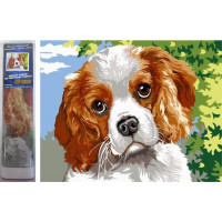 Norimpex Diamantové maľovanie Psie oči 30x40 cm