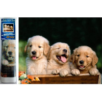 Norimpex Diamantové maľovanie Roztomilé trio 30x40 cm