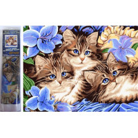 Norimpex Diamantové maľovanie Tri mačiatka v kvetoch 30x40 cm