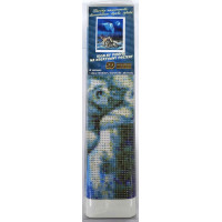 Norimpex Diamantové maľovanie Divoký spln 30x40 cm