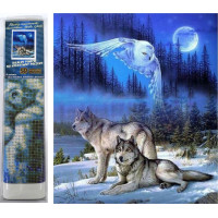 Norimpex Diamantové maľovanie Divoký spln 30x40 cm