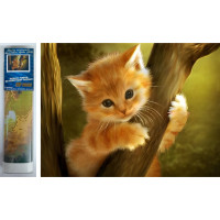Norimpex Diamantové maľovanie Mačiatko na strome 30x40 cm