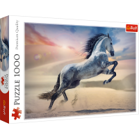 TREFL Puzzle Majestátny kôň 1000 dielikov