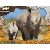 PRIME 3D Puzzle Animal planét: Ohrozené druhy - Nosorožec 3D 100 dielikov