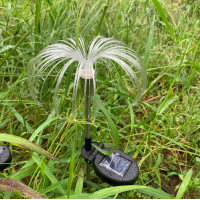 Vonkajšie solárne LED osvetlenie PALMA 80 cm - mulicolor