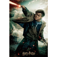 PRIME 3D Puzzle Harry Potter: Harry 3D 300 dielikov