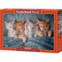 CASTORLAND Puzzle Sladké mačiatka 1000 dielikov