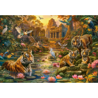 CASTORLAND Puzzle Tigrie raj 1000 dielikov