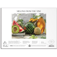 GALISON Puzzle Melóny 1000 dielikov