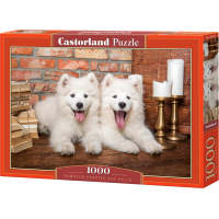 CASTORLAND Puzzle Šteňatá samojeda 1000 dielikov