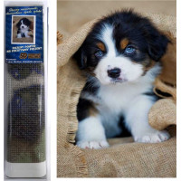 Norimpex Diamantové maľovanie Šteňa Bernského salašníckeho psa 30x40 cm