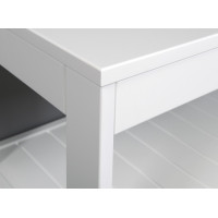 Aqualine ETIDE policový regál nízky 61x45x36 cm, biela mat ET061