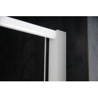 Aqualine AMICO sprchové dvere výklopné 820-1000x1850mm, číre sklo G80