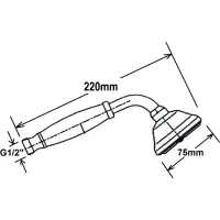 Sapho EPOCA ručná sprcha, 220mm, mosadz / zlato DOC105