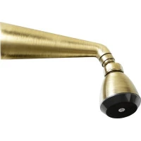 Sapho Nástenná sprcha s otočným kĺbom, bronz 9046