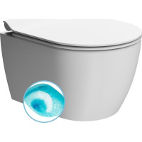 GSI PURA závesná WC misa, Swirlflush, 35x46cm, biela dual-mat 880209