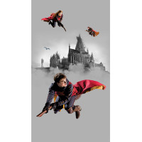 Detská fototapeta - HARRY POTTER 2 - 150x270 cm