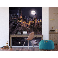 Detská fototapeta - HARRY POTTER Škola čiar a kúziel - 225x270 cm