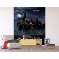 Detská fototapeta - HARRY POTTER Bradavice - 225x270 cm