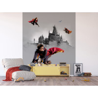 Detská fototapeta - HARRY POTTER 2 - 225x270 cm