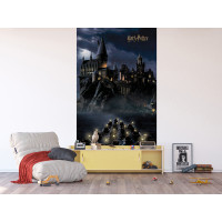 Detská fototapeta - HARRY POTTER Bradavice - 150x270 cm