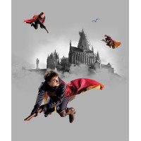 Detská fototapeta - HARRY POTTER 2 - 225x270 cm