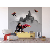 Detská fototapeta - HARRY POTTER 2 - 300x270 cm