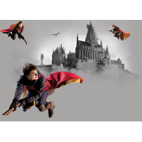 Detská fototapeta - HARRY POTTER 2 - 155x110 cm