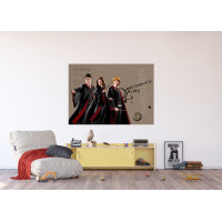 Detská fototapeta - HARRY POTTER 1 - 155x110 cm