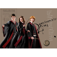 Detská fototapeta - HARRY POTTER 1 - 155x110 cm