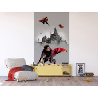 Detská fototapeta - HARRY POTTER 2 - 150x270 cm
