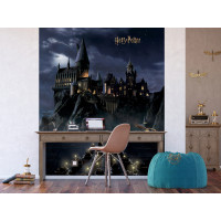Detská fototapeta - HARRY POTTER Bradavice - 225x270 cm