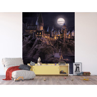 Detská fototapeta - HARRY POTTER Škola čiar a kúziel - 225x270 cm