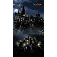 Detská fototapeta - HARRY POTTER Bradavice - 150x270 cm