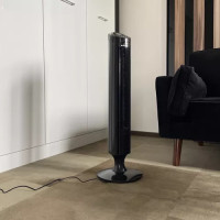 Stĺpový ventilátor s diaľkovým ovládačom Ruhhy - čierny