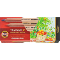 KOH-I-NOOR Trojhranné pastelky Triocolor 3152 - 12 ks