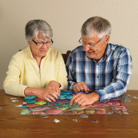 COBBLE HILL Puzzle Túžba po priadzu XL 275 dielikov