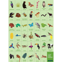 Mudpuppy Puzzle Hľadanie v dažďovom pralese