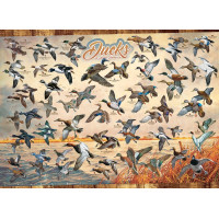 COBBLE HILL Puzzle Kačice Severnej Ameriky 1000 dielikov