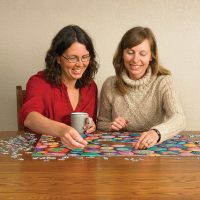 COBBLE HILL Puzzle Maľované kamene juhozápadu 1000 dielikov