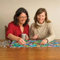 COBBLE HILL Puzzle Maľované kamene severozápadu 1000 dielikov