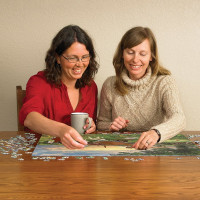 COBBLE HILL Puzzle Pole pri východe slnka 1000 dielikov