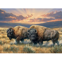 COBBLE HILL Puzzle Prašné pláne 1000 dielikov